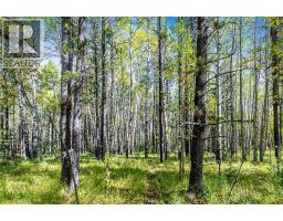336 Street W, Rural Foothills County, AB T0L1W0 Photo 14