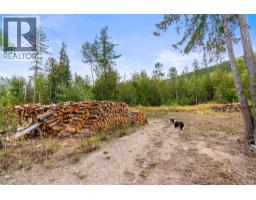 5089a Cedar Hill Road, Falkland, BC V0E1W0 Photo 82