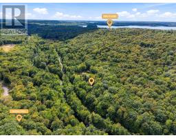 1289 Big Hawk Lake Road, Algonquin Highlands, ON K0M1S0 Photo 47