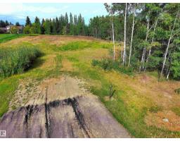 9 53420 Range Road 274, Rural Parkland County, AB T7X3T1 Photo 32