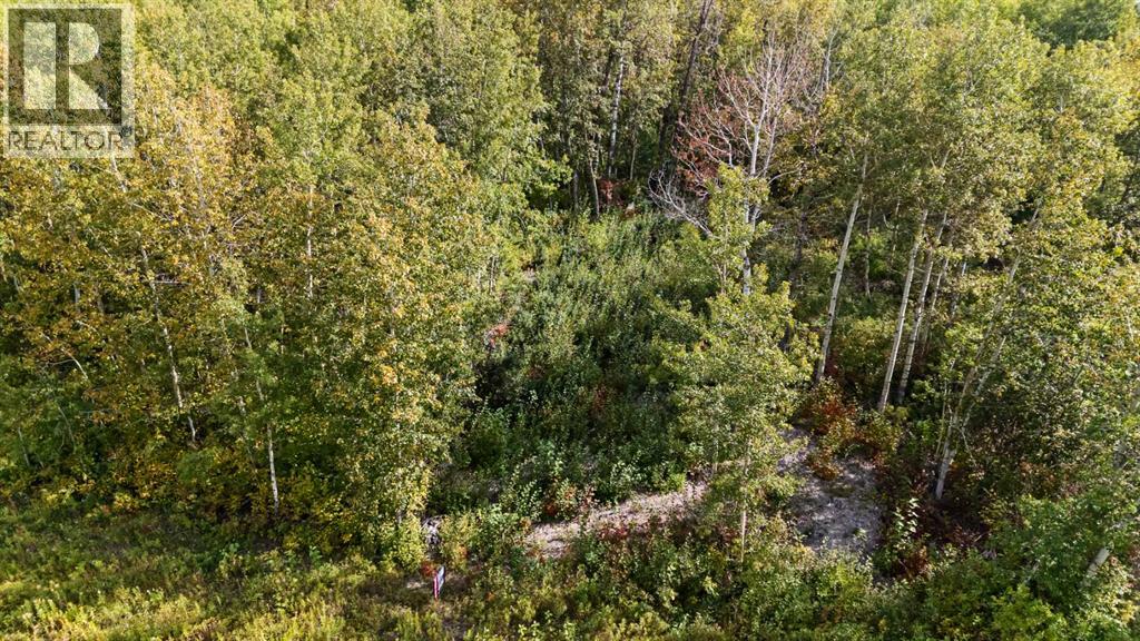 Listing photo – 515 Railway Avenue, Ferintosh