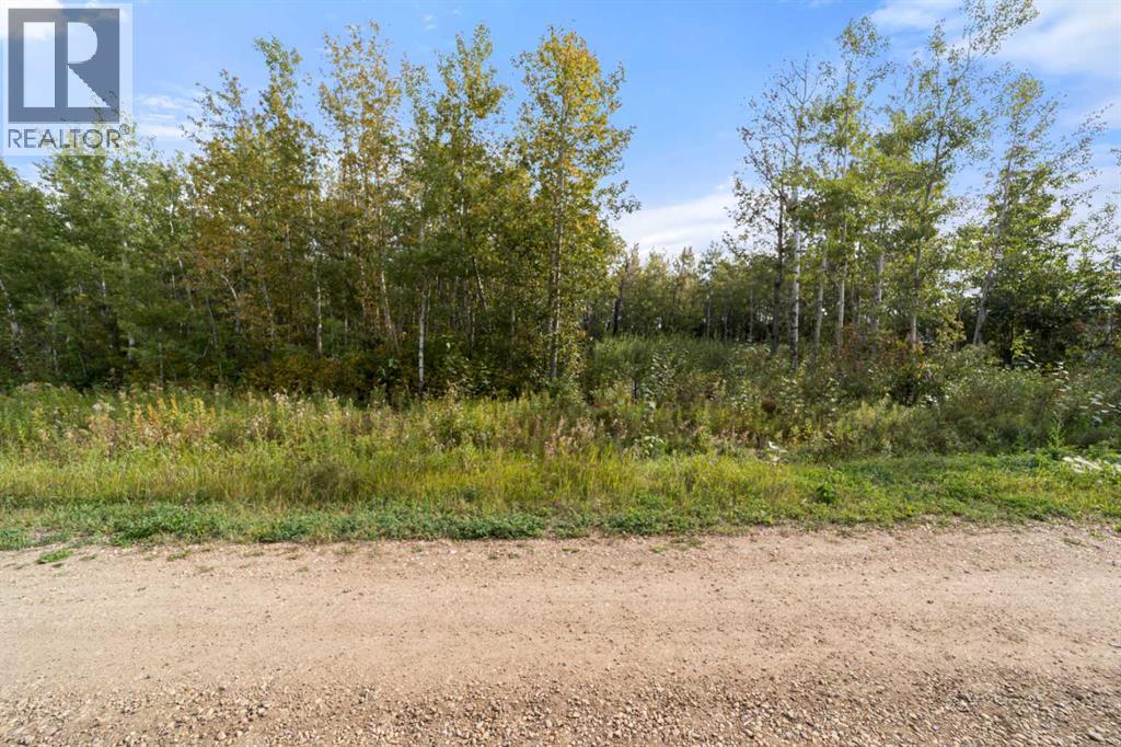 Listing photo – 515 Railway Avenue, Ferintosh