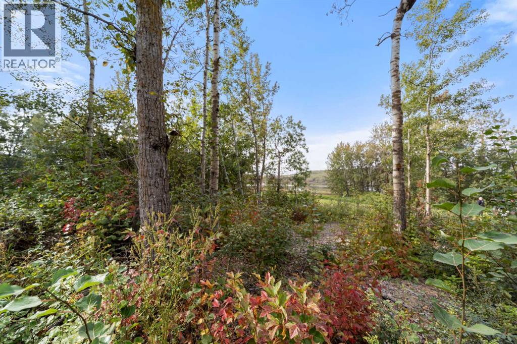 Listing photo – 515 Railway Avenue, Ferintosh