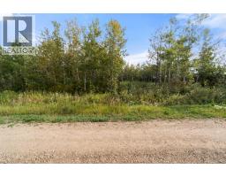 515 Railway Avenue, Ferintosh, AB T0B1M0 Photo 7