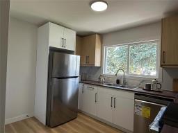 Recreation room - 1138 Rosewell Place, Winnipeg, MB R2G1V7 Photo 6