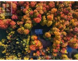 492513 Southgate Sideroad 49, Southgate, ON N0G2A0 Photo 47