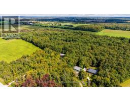 492513 Southgate Sideroad 49, Southgate, ON N0G2A0 Photo 49