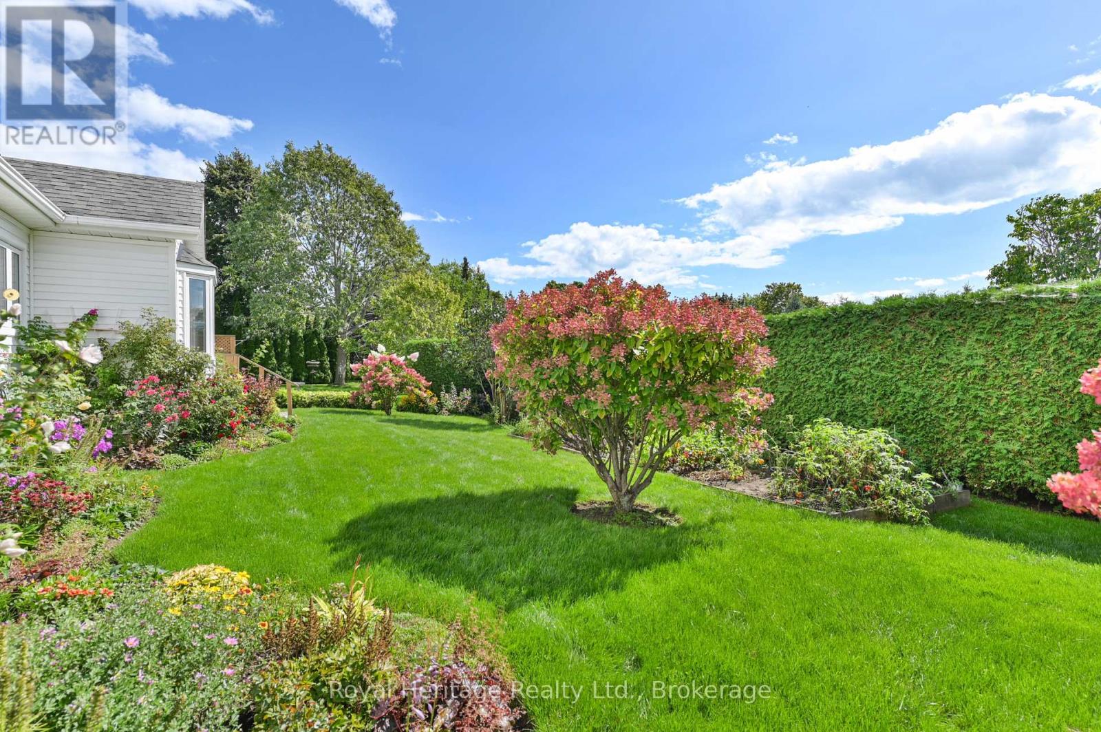 61 MILLS ROAD - Image 39