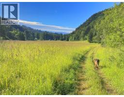 1094 Highway 5a, Princeton, BC V0X1W0 Photo 61