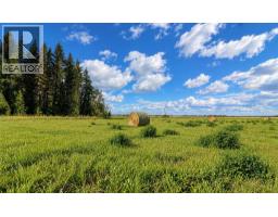 76370 Hwy 2, Rural Saddle Hills County, AB T0H3V0 Photo 37