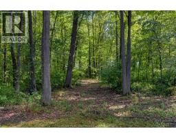 8030 County Rd 15, Essex, ON N8M2X6 Photo 49
