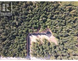 Sl6 Essex Way, Qualicum Beach, BC V9K2A5 Photo 8