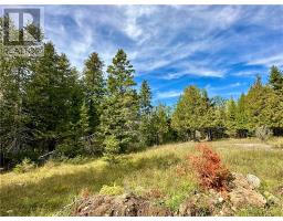 Pl4c2 Bidwell Road, Sheguiandah, ON P0P1N0 Photo 16