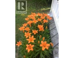 5013 49 A Street, Sedgewick, AB T0B4C0 Photo 35