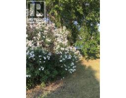 5013 49 A Street, Sedgewick, AB T0B4C0 Photo 34