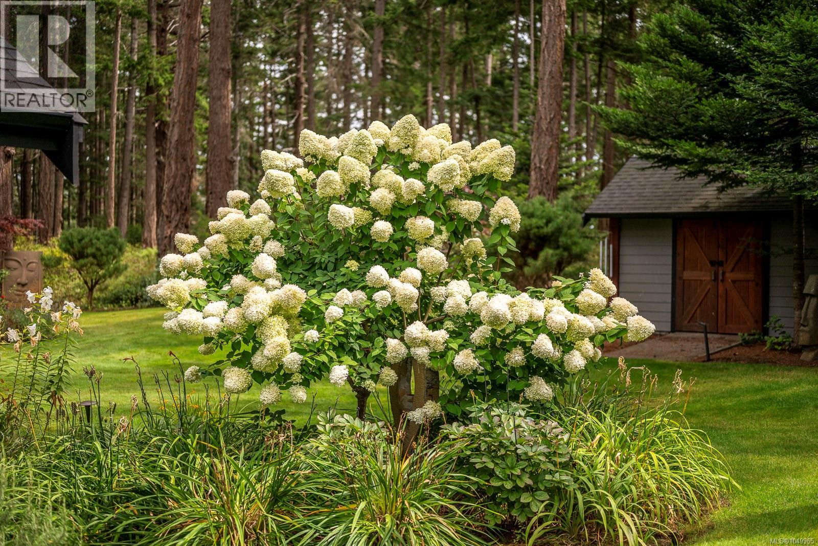 846 Foskett Rd, Comox
