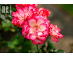 846 Foskett Rd, Comox, BC V9M3T9 Photo 83