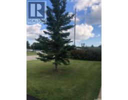 237 Fourth Street Ne, Preeceville, SK S0A3B0 Photo 45