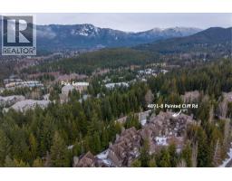 8 4891 Painted Cliff Road, Whistler, BC V0N1B4 Photo 16