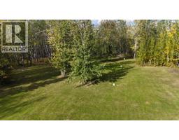 8 Fediw Road, Fort Nelson, BC V0C1R0 Photo 39