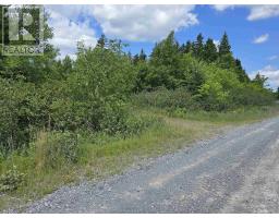 Lot 1-3 107 Highway, West Petpeswick, NS B0J2L0 Photo 11