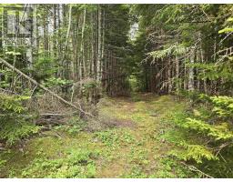 Lot 1-3 107 Highway, West Petpeswick, NS B0J2L0 Photo 8