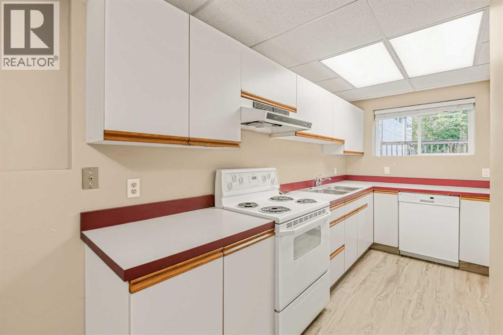 Basement Kitchen