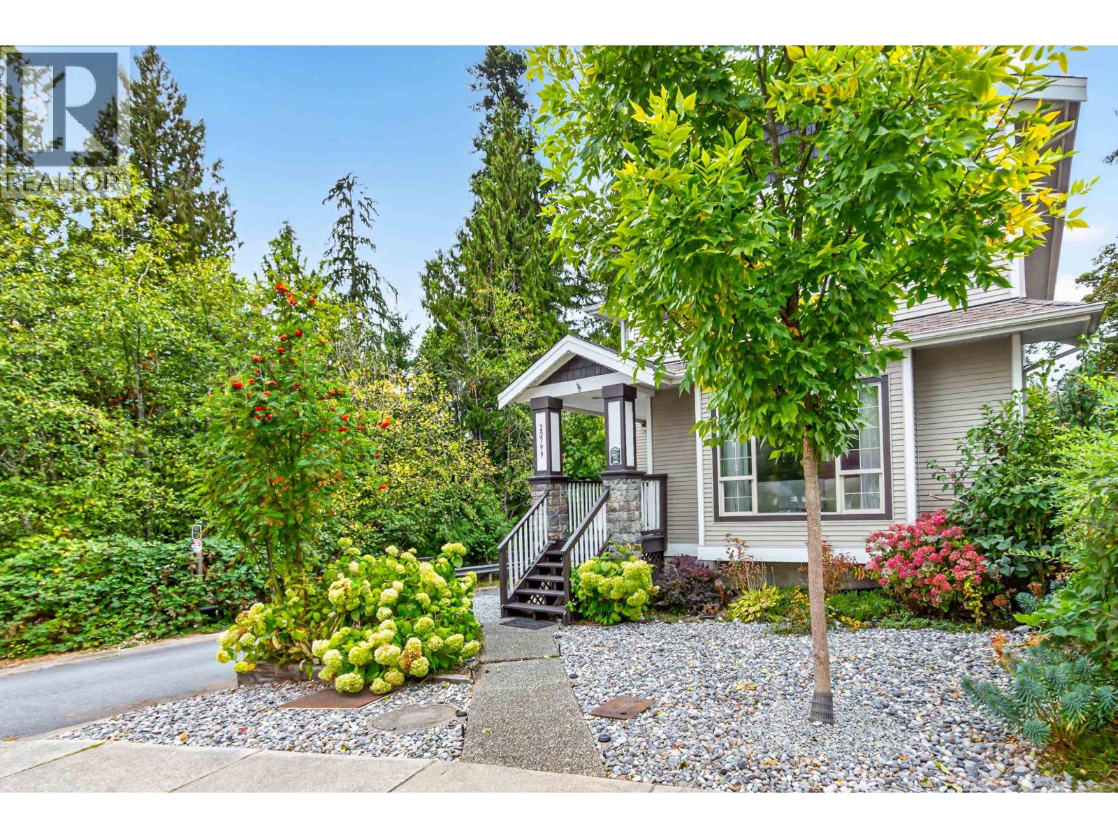 22799 116 AVENUE, Maple Ridge