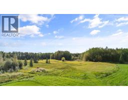61130 Range Road 50, Rural Barrhead No  11, County Of, AB T0G0L0 Photo 39