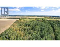 61130 Range Road 50, Rural Barrhead No  11, County Of, AB T0G0L0 Photo 41