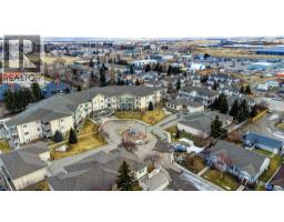109, 43 Westlake Circle, Strathmore, AB T1P1T6 Photo 33