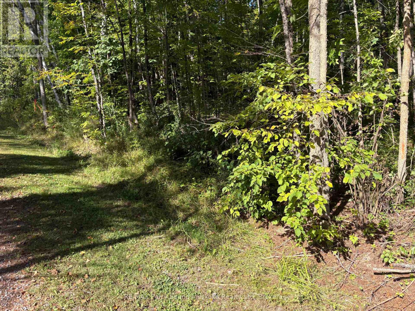 0 PINE ROAD, Magnetawan — photo 3