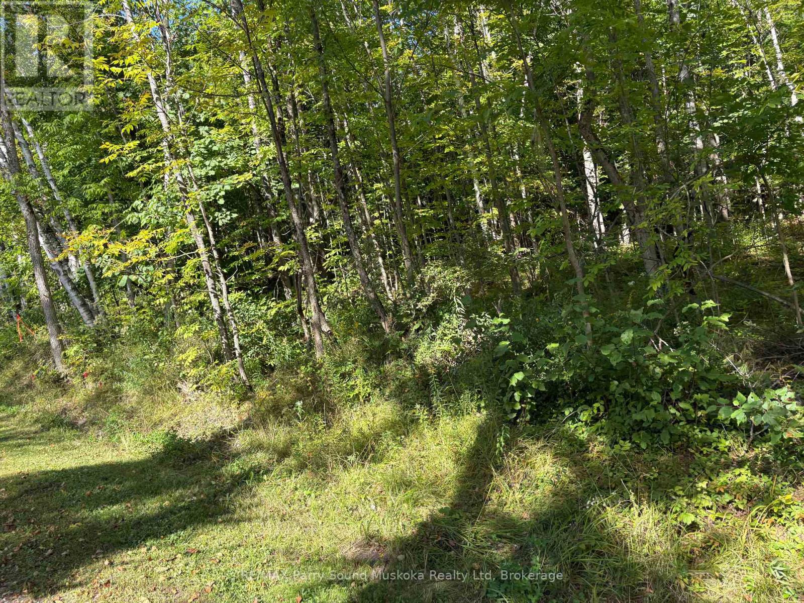 0 PINE ROAD, Magnetawan — photo 5