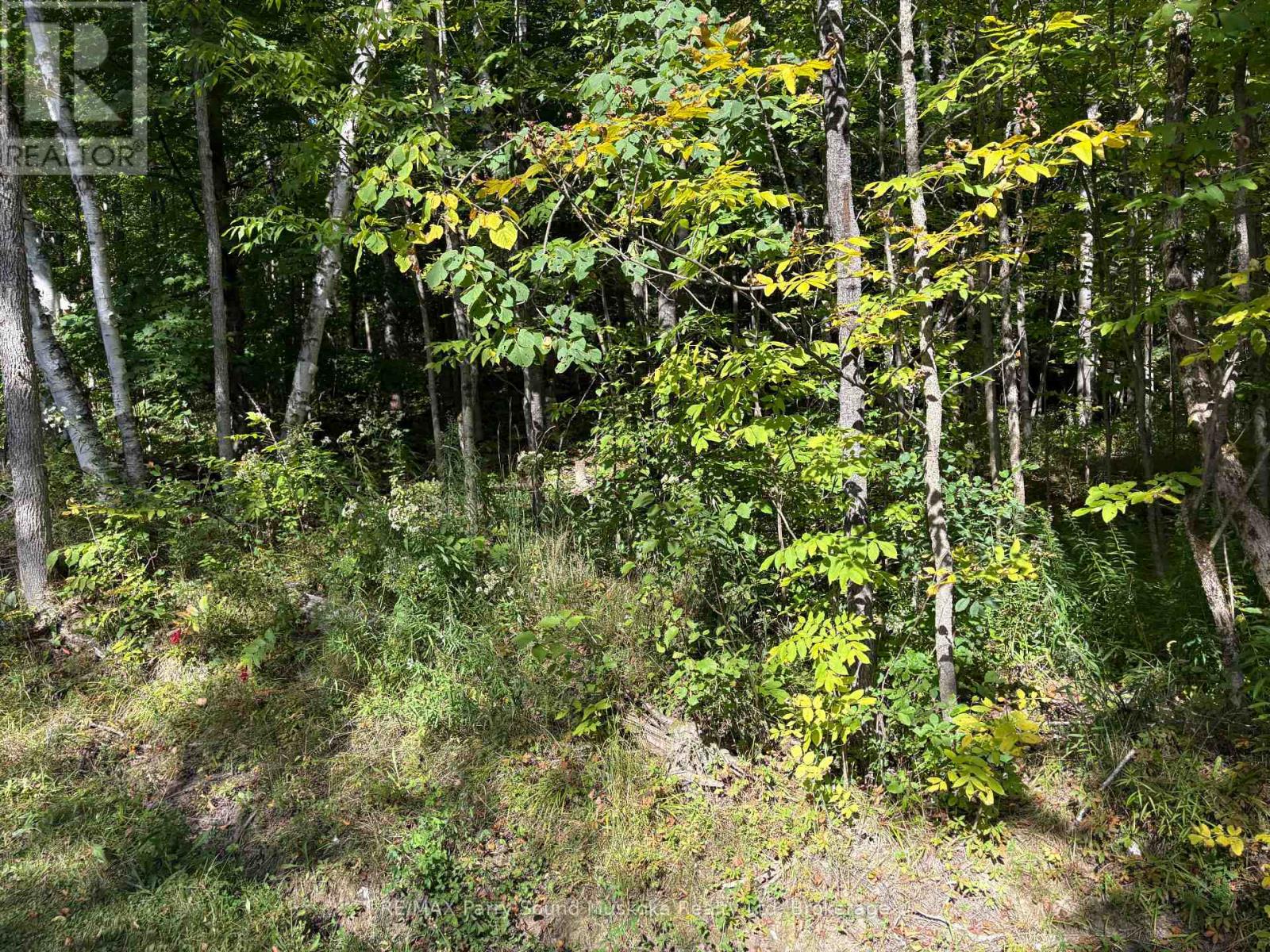 0 PINE ROAD, Magnetawan — photo 8
