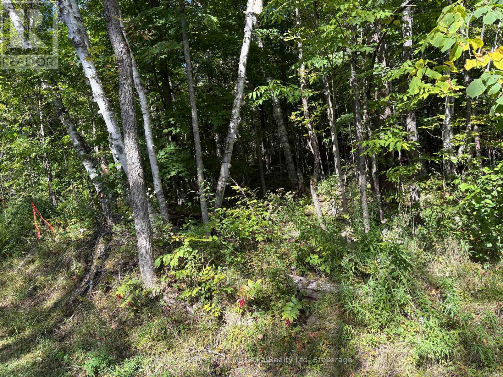 0 PINE ROAD, Magnetawan — photo 9