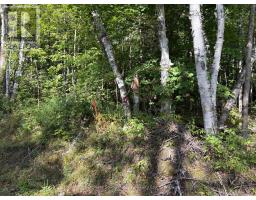 0 Pine Road, Magnetawan, ON P0A1A0 Photo 10