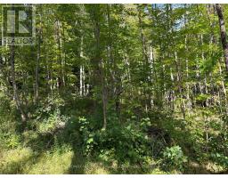 0 Pine Road, Magnetawan, ON P0A1A0 Photo 6