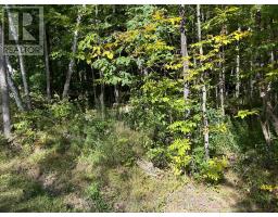 0 Pine Road, Magnetawan, ON P0A1A0 Photo 8