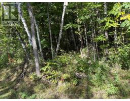 0 Pine Road, Magnetawan, ON P0A1A0 Photo 9