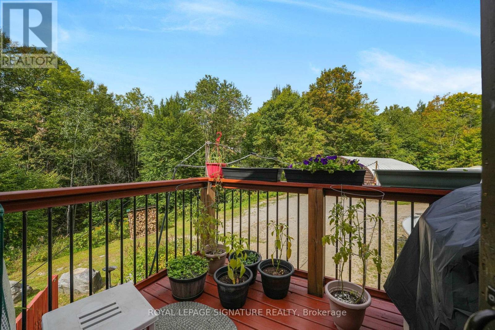 4177 KENNISIS LAKE ROAD, Dysart et al (Havelock) — photo 10