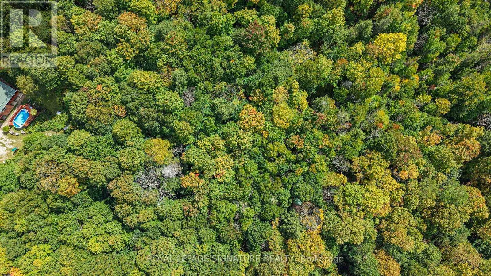 4177 KENNISIS LAKE ROAD - 45