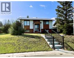 4516 45 Street, Rycroft, AB T0H3A0 Photo 46