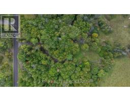Lot 1 Horning Road, Frontenac, ON K0H1M0 Photo 12