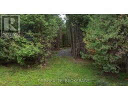 Lot 1 Horning Road, Frontenac, ON K0H1M0 Photo 16