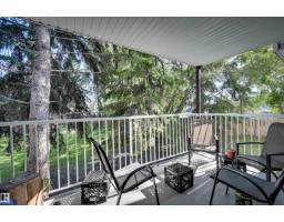 #203 24 Alpine Pl, St  Albert, AB T8N3Y2 Photo 27