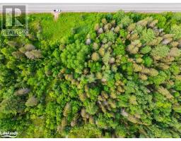 7281 Highway 124, Magnetawan, ON P0G1G0 Photo 12