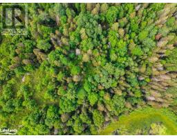 7281 Highway 124, Magnetawan, ON P0G1G0 Photo 13