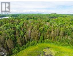7281 Highway 124, Magnetawan, ON P0G1G0 Photo 15