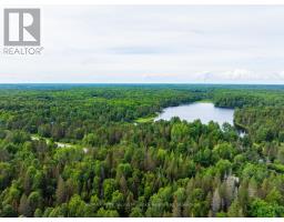 7281b Highway 124, Magnetawan, ON P0G1G0 Photo 12