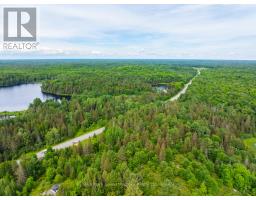 7281b Highway 124, Magnetawan, ON P0G1G0 Photo 14